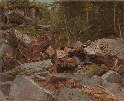 Study, North Conway, New Hampshire, 1851 od David Johnson