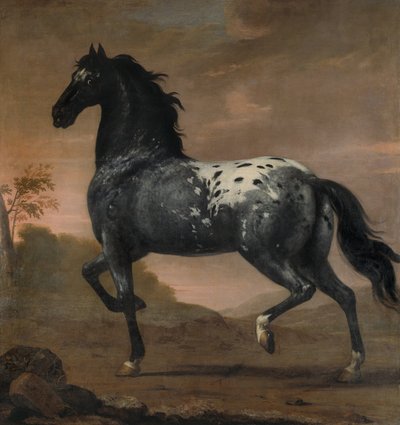 Koně Karla XI. „Modrý tygr“, 1673 od David Klöcker Ehrenstrahl