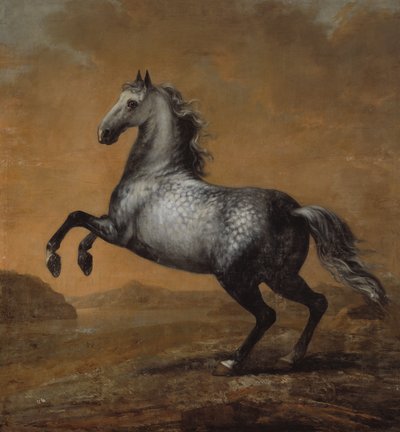 Malý Angličan, kůň krále Karla XI (1655-97) od David Klöcker Ehrenstrahl