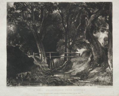 Různé předměty krajiny, charakteristické pro anglické scenérie z obrázků malovaných Johnem Constablem, R.A.: Dell in the Woods of Helmingham Park, Suffolk od David Lucas