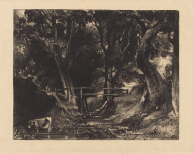 Dell, Helmingham Park, Suffolk od David Lucas after John Constable