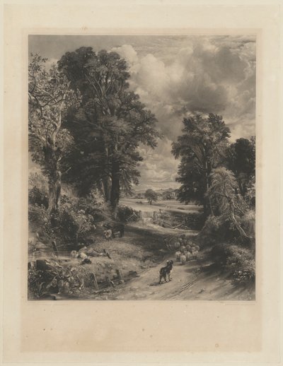 Kukuřičné pole od David Lucas after John Constable