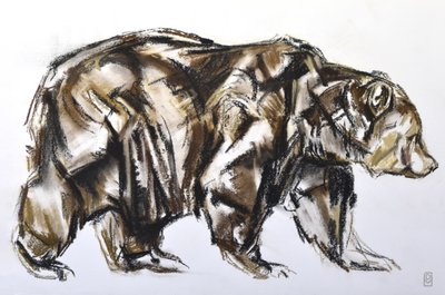 Chůze medvěda hnědého, 2012 (Pastel/Conte na papíře) od David Mayer