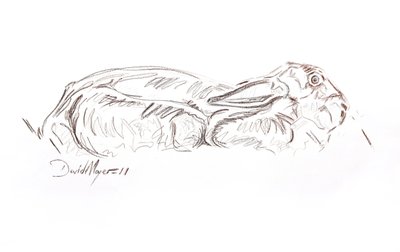 Zajíc ležící, 2012 (kontepastel na papíře) od David Mayer
