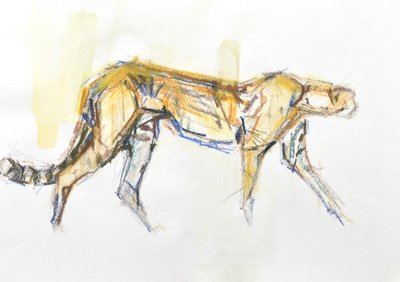 Gepard, 2020 (pastel a akvarel na papíře) od David Mayer