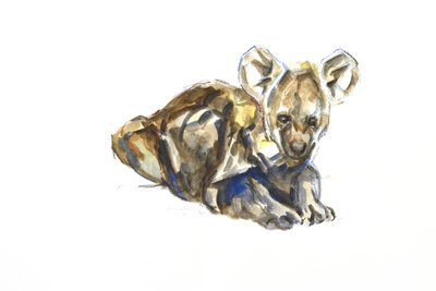 Štěně hyeny, 2020 (akvarel, pastel a kvaš na papíře) od David Mayer