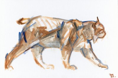 Lynx, 2022 (olej na plátně položený panel) od David Mayer