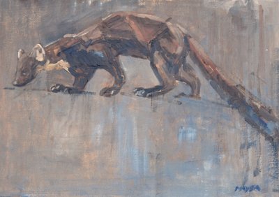 Pine Marten, 2023 (olej na plátně) od David Mayer