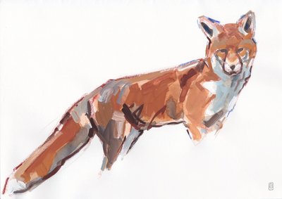 Red Fox, 2021 (kvaš a akvarel/pastel na papíře) od David Mayer