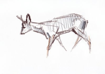 RoeBuck, 2021 od David Mayer