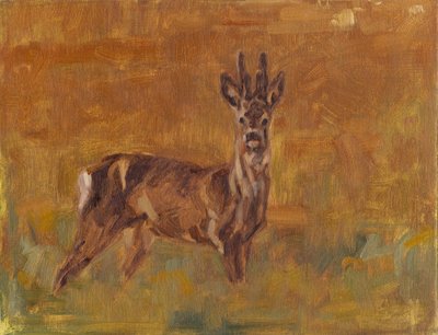 Roe Buck, 2021 od David Mayer