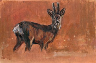 Roe Buck, 2021 od David Mayer