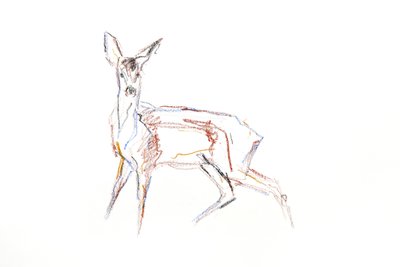 Srnčí mladý, 2021 (pastel na papíře) od David Mayer