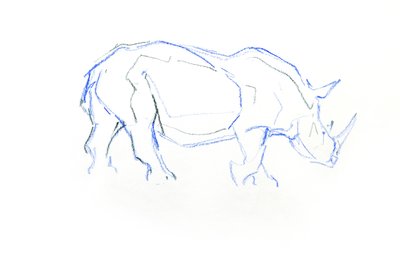Bílý nosorožec, 2020 (pastel na papíře) od David Mayer