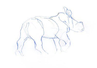 Bílé tele nosorožce, 2020 (pastel na papíře) od David Mayer