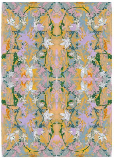 Botanická koláž # 4, 2017 od David McConochie