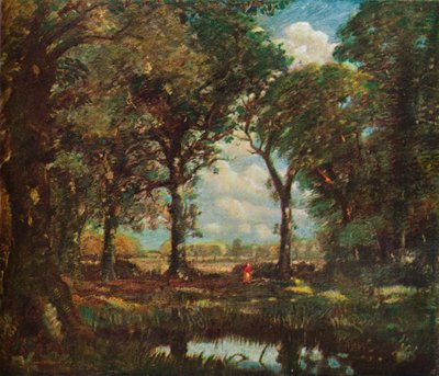 Woodland Pool, c1905 od David Muirhead