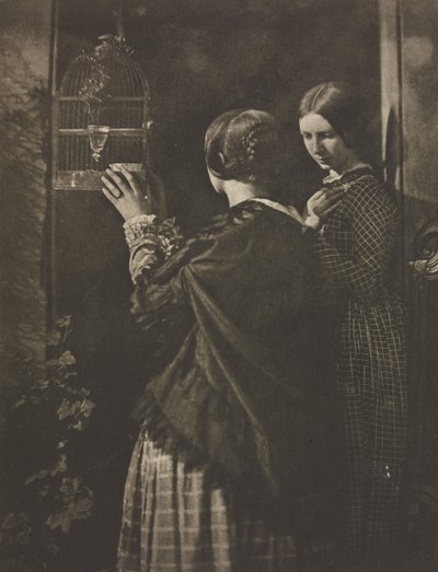 Kameraman: The Bird-Cage, 1909. od David Octavius Hill