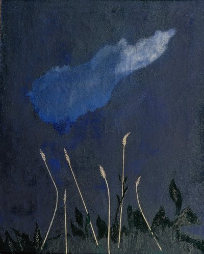 The Ears, 1910s   1193462   cs       czech Successfully Translated  Original: Sambucus, Trillium and Cytisus, from Hortus Eystettensis Translat: Sambucus, Trillium and Cytisus, from Hortus Eystettensis 1349975 cs czech Successfully Translated Original: The od David Petrovich Sterenberg