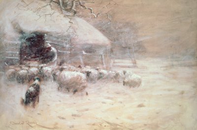 Ovce - Bezpečný přístav od David Robertson
