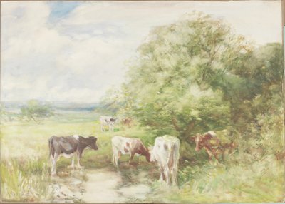 The Shady Pool (akvarel na papíře na kartě) od David T. Robertson