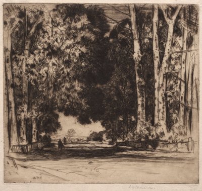 Avenue od David Young Cameron