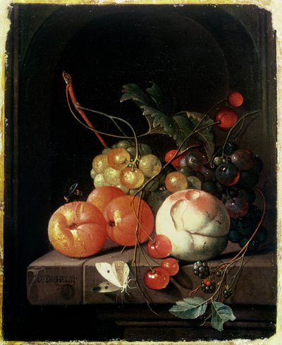 Zátiší ovoce, 17. století od David de II Heem