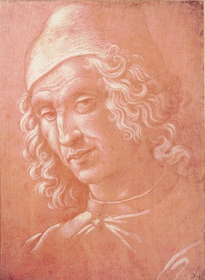Hlava muže (stříbrný bod na papíře) od Davide Ghirlandaio