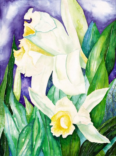 Noční orchideje, 2007 (akvarel) od Deborah Eve Alastra