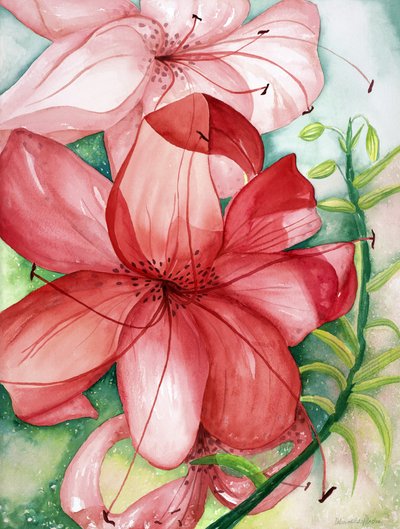 Tigerlily, 2007 (akvarel) od Deborah Eve Alastra
