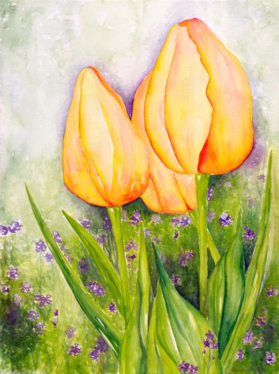 Žluté tulipány, 2006 (akvarel) od Deborah Eve Alastra