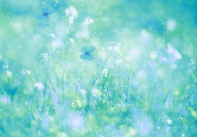 Aqua Butterfly Dream od Delphine Devos