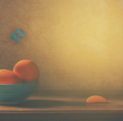 Citrusová mísa a motýl od Delphine Devos