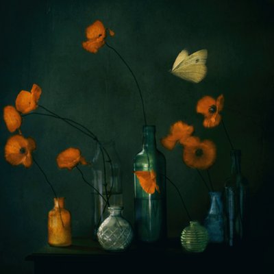 Moody Poppies – Motýl od Delphine Devos