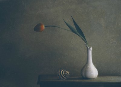 Zátiší s náladovými tulipány od Delphine Devos