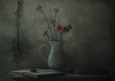 Tiché zátiší s karafiáty od Delphine Devos