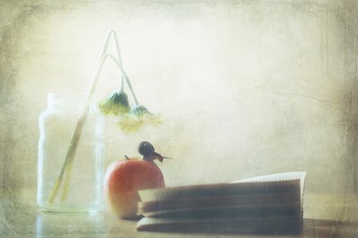 Šnek, jablko, tichá chvilka od Delphine Devos