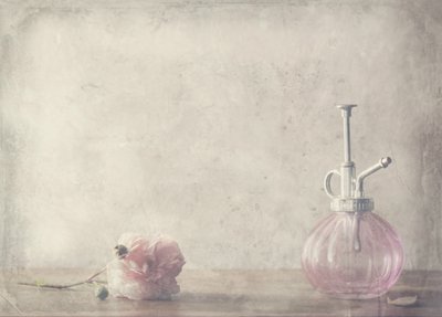 Parfém Vintage Pink Rose od Delphine Devos