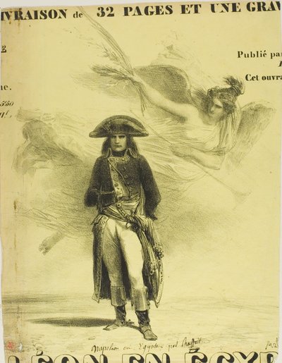 Napoleon v Egyptě od Denis Auguste Marie Raffet