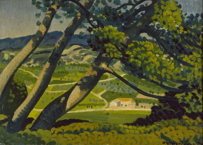 Stromy, Provence, 1912 od Derwent Lees