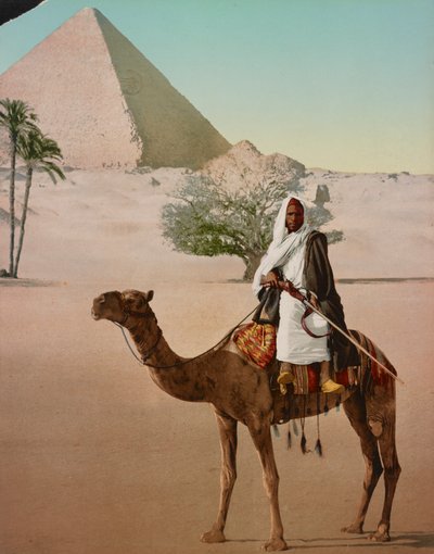 Beduín na velbloudu a Velká pyramida, Káhira, Egypt od Detroit Photographic Co.