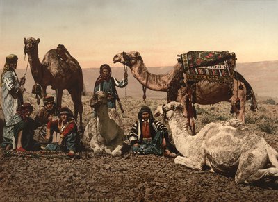 Velbloudi se zastavují v poušti, Svatá země, kolem roku 1890 (fotomechanický tisk) od Detroit Photographic Co.