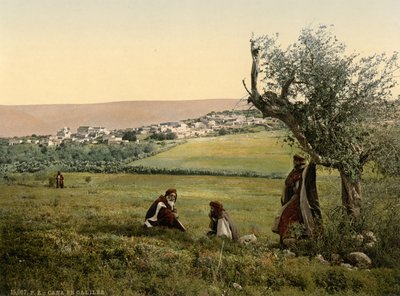 Celkový pohled, Kána Galilejská, Svatá země, asi 1890-1900 (fotochromový tisk) od Detroit Publishing Co.