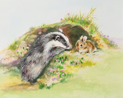 Jezevec a králík od Diane Matthes