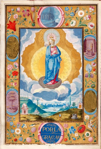 Immacule Conception v Rytířské chartě Ariase Parda de Cela od Diego Gómez