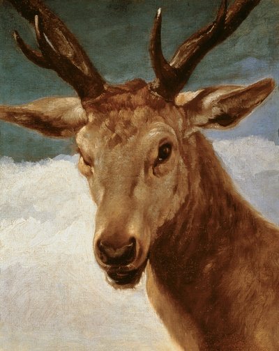 Hlava jelena, 1634 od Diego Velázquez