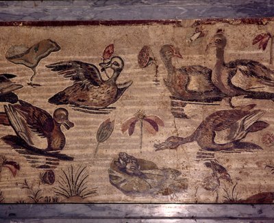 Římská mozaika z Pompejí kachen a žab ve vodní zahradě, 1. století od Dioscurides of Samos