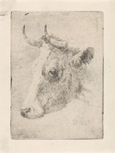 Hlava býka od Dirk van Oosterhoudt