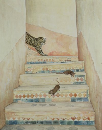 Schodiště Ben Youssefs od Ditz