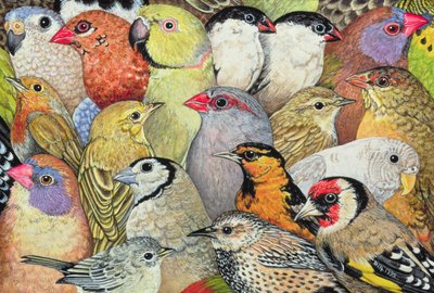 Patchwork-Birds, 1995 (akryl na panelu) od Ditz